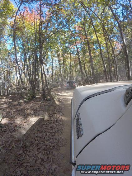 Two SUVs on a dirt road in a forest, one in the foreground and one further ahead