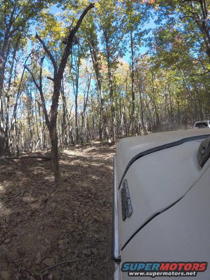 White SUV driving on a dirt road in a forest with another vehicle visible ahead