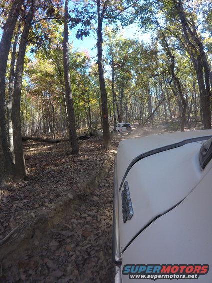 White 1979 Ford Bronco driving on forest trail