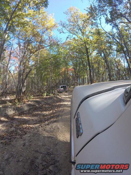 Two SUVs driving on a dirt path through a forest with fall foliage