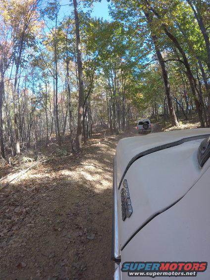 White SUV driving on a dirt road in a forest, with another vehicle ahead