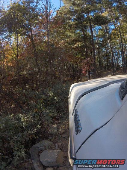 352.jpg