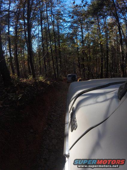 Two SUVs driving on a narrow dirt road through a forest