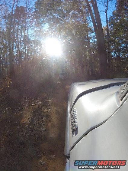 White SUV driving on a dirt road in a forest, sun glare