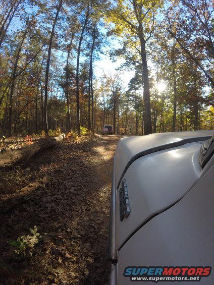 Two white SUVs driving on a dirt road through a forest with fall foliage