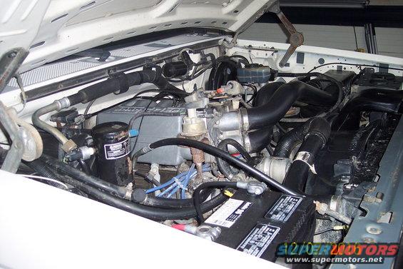 Engine bay with various hoses and components visible