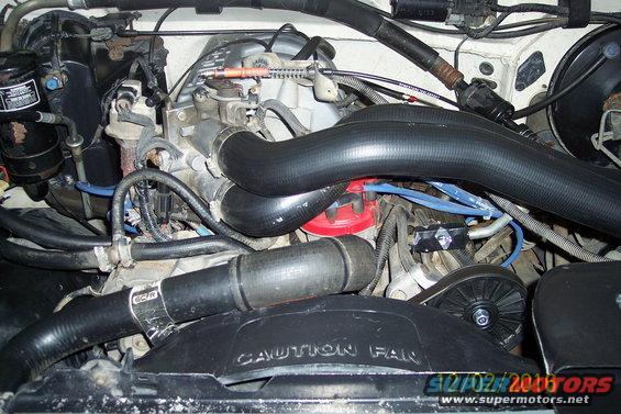 Engine bay with large black hoses and a red distributor cap