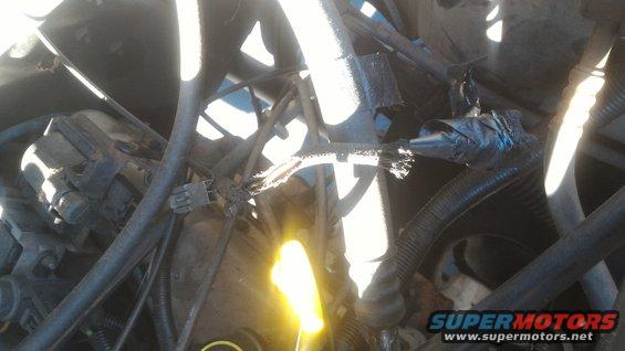 Engine bay wiring with frayed insulation and exposed wires, taped repair