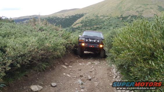 1996 Ford Bronco navigating a rocky mountain trail with dense green foliage on either side