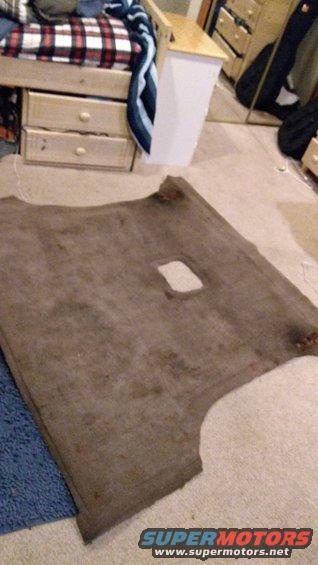 Then I cleaned the carpet.