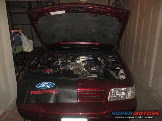 Red 2004 Ford Crown Victoria engine bay with Ford Racing fender cover