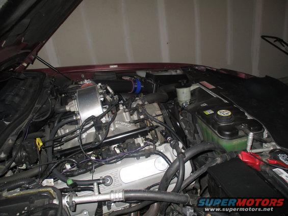 Engine bay with a V8 engine, aftermarket intake, and coolant reservoir