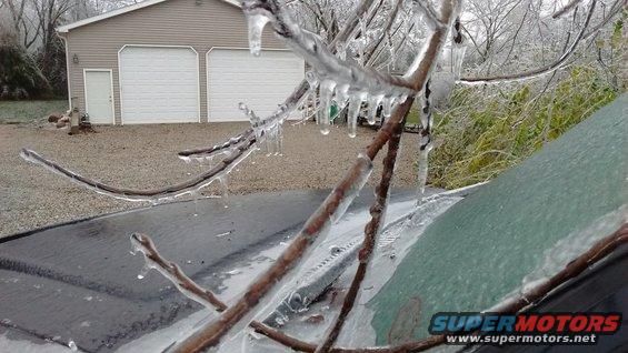 Ice-covered branches over a car windshield with a garage in the background