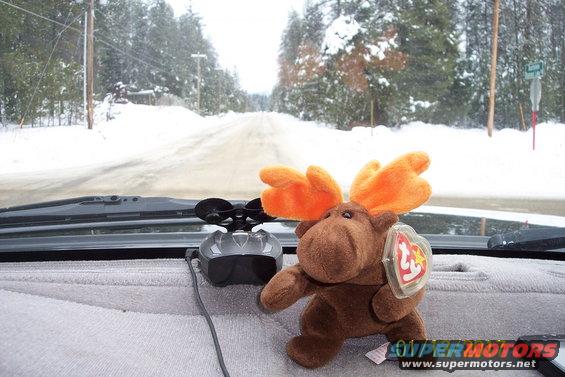 mrmoose_wa_adventures-(2).jpg 