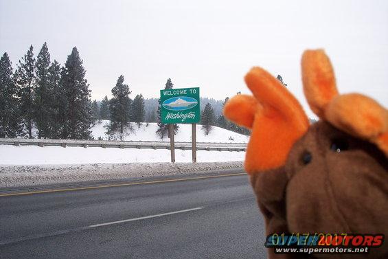 mrmoose_wa_adventures-(18).jpg 