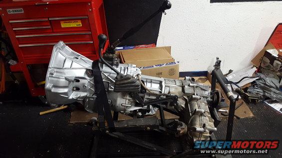 ZF5-S42 and BW1356 ready to go