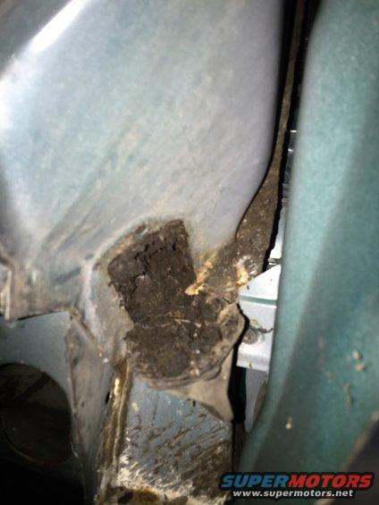 Have you ever cleaned your firewall cowl drains?