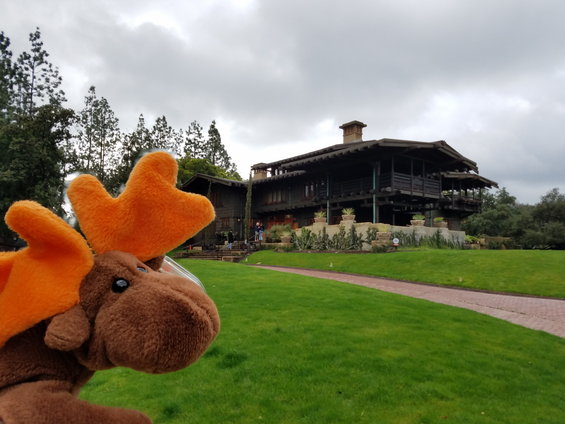 moose-06.jpg 