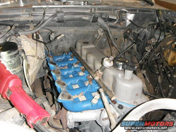 Engine bay with blue intake manifold and various hoses and wires