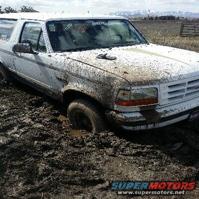 1995 Ford Bronco photo