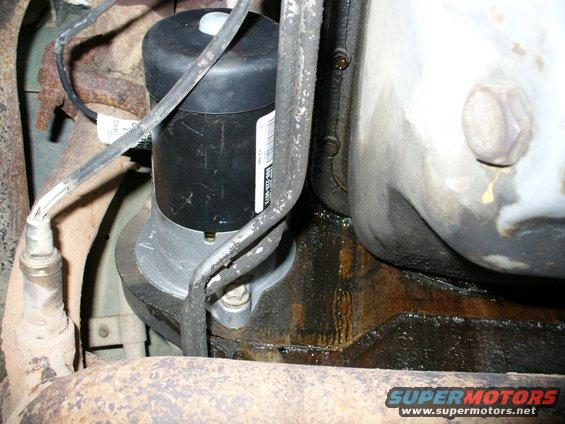 Coolant leak by starter & oil pan.