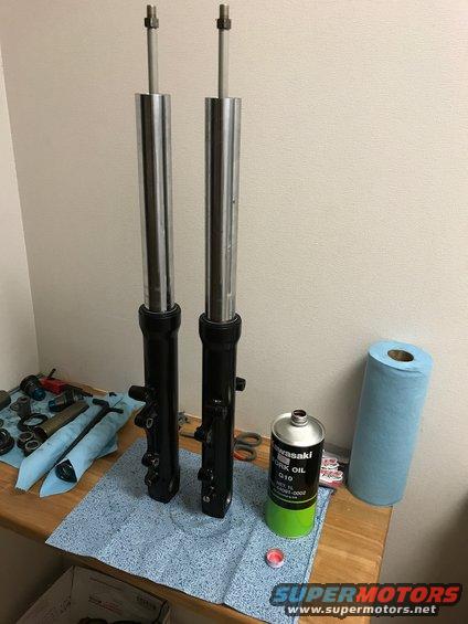 ZX9R Fork Tube Assembly
