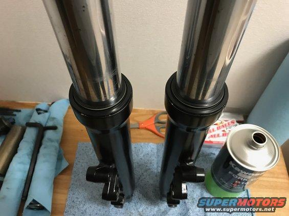 ZX9R Fork Tube Assembly