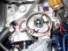 1967 Ford Mustang - This is a close-up view of an engine's distributor, showing internal components and wiring.