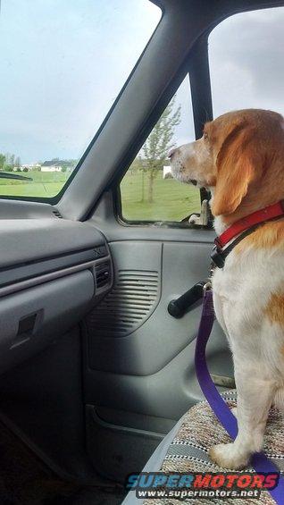 img_20170422_091147658_hdr.jpg Seat cover is dog approved!