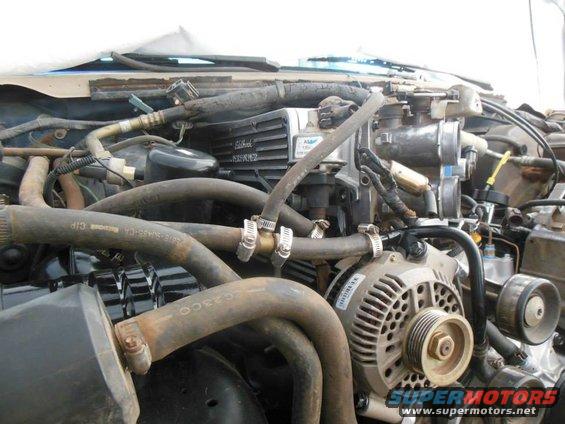 Engine bay with hoses and alternator visible