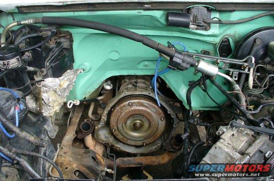 p1030513--engine-bay-cleaned.jpg 