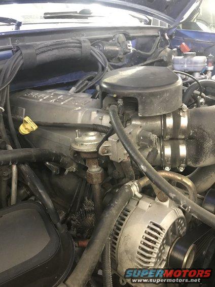 1996 Ford Bronco engine bay showing alternator, intake manifold, and various hoses