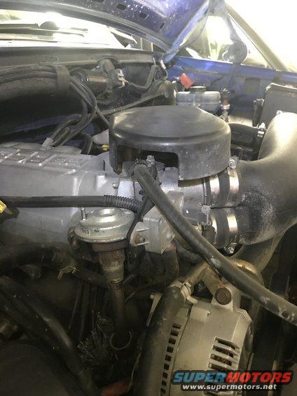 Close-up of engine bay with EGR valve and alternator visible. Some hoses and wiring are also in the shot