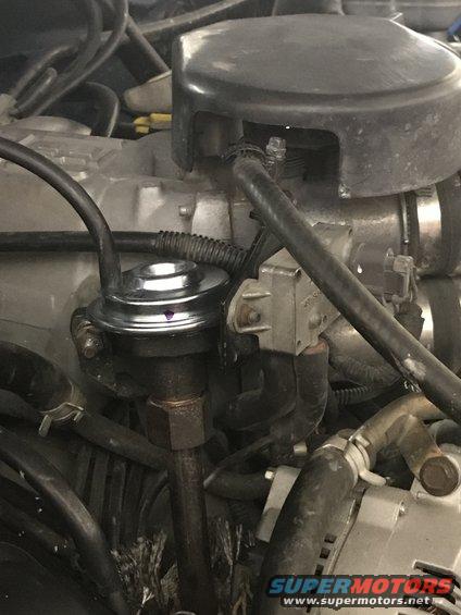 Close-up of EGR valve and associated engine hoses and components