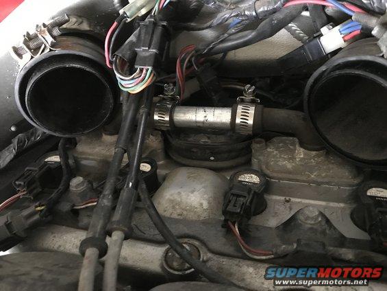 1998 ZX9R KLEEN removal