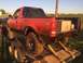 1982 Ford Bronco photo