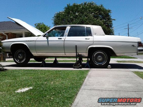 White sedan on jack stands with hood up, being worked on in a driveway