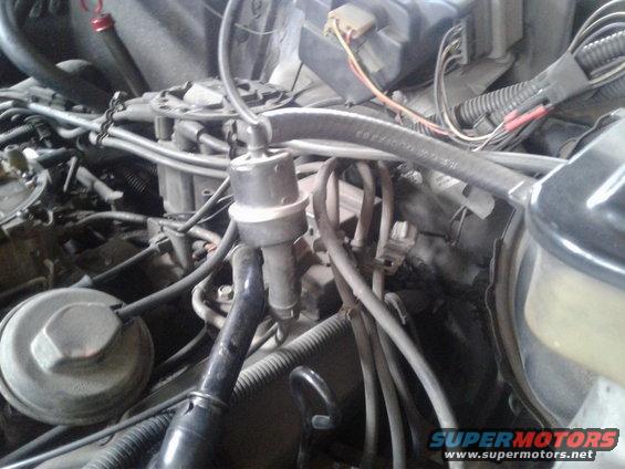 Close-up of engine bay with various hoses, wires, and a vacuum canister