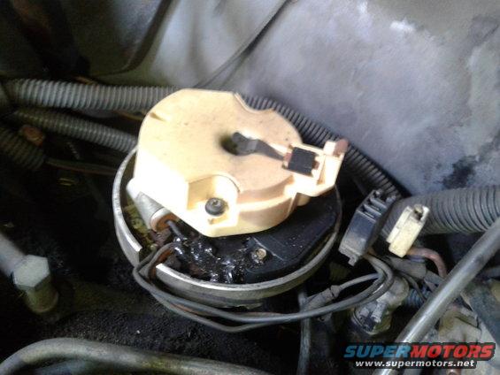 car's distributor cap and rotor with some black grease around it