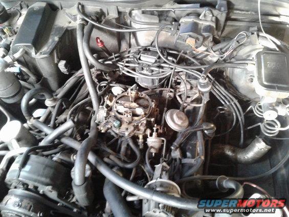 Engine bay showing carburetor, distributor, and various hoses and wires