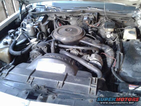 Engine bay of a 1984 Buick Electra, showing the V8 engine, radiator fan, and various hoses and components