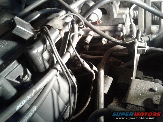 Engine bay with AC Delco spark plug wires and distributor cap