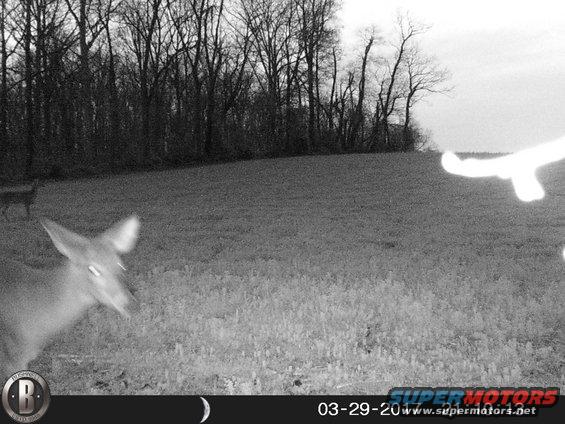 hunt0072.jpg