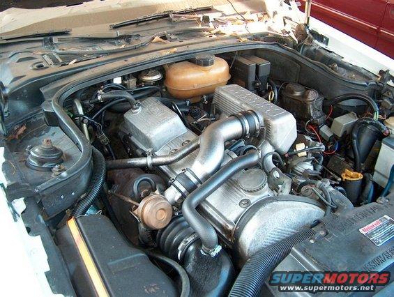 Engine bay with V8 engine components and hoses
