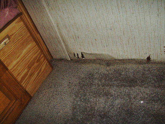 pict0449.jpg 