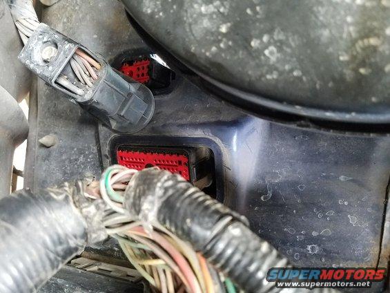 Engine wiring harness connectors with red plastic housings
