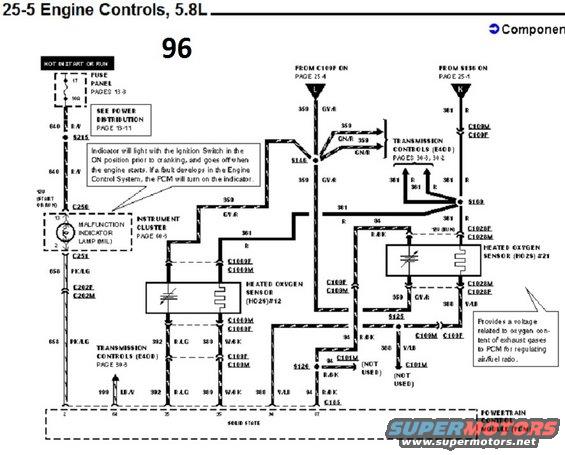 e5.jpg