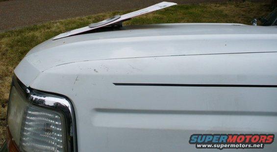 p1030701--subaru-hood-scoop-placement.jpg Subaru hood scoop, placement with template for better slope visual.  The back edge of the hood cutout would need to come up some.