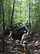 1989 Ford Bronco - A 1989 Ford Bronco attempts to climb a difficult off-road trail surrounded by trees.