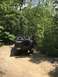 1989 Ford Bronco - A black Ford Bronco is parked on a dirt path surrounded by dense green trees.